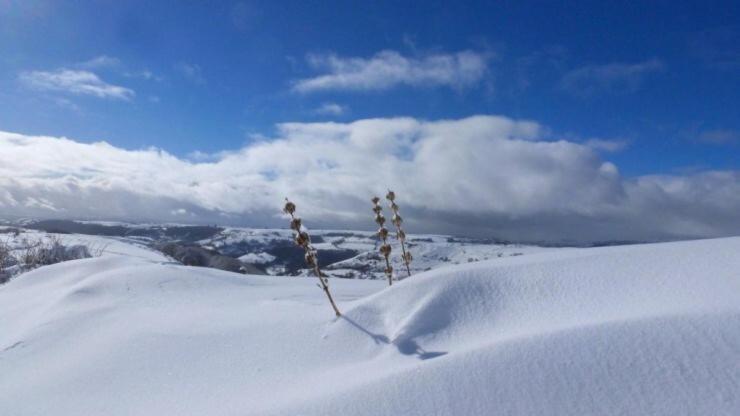 Gite De Pailherols Exteriör bild